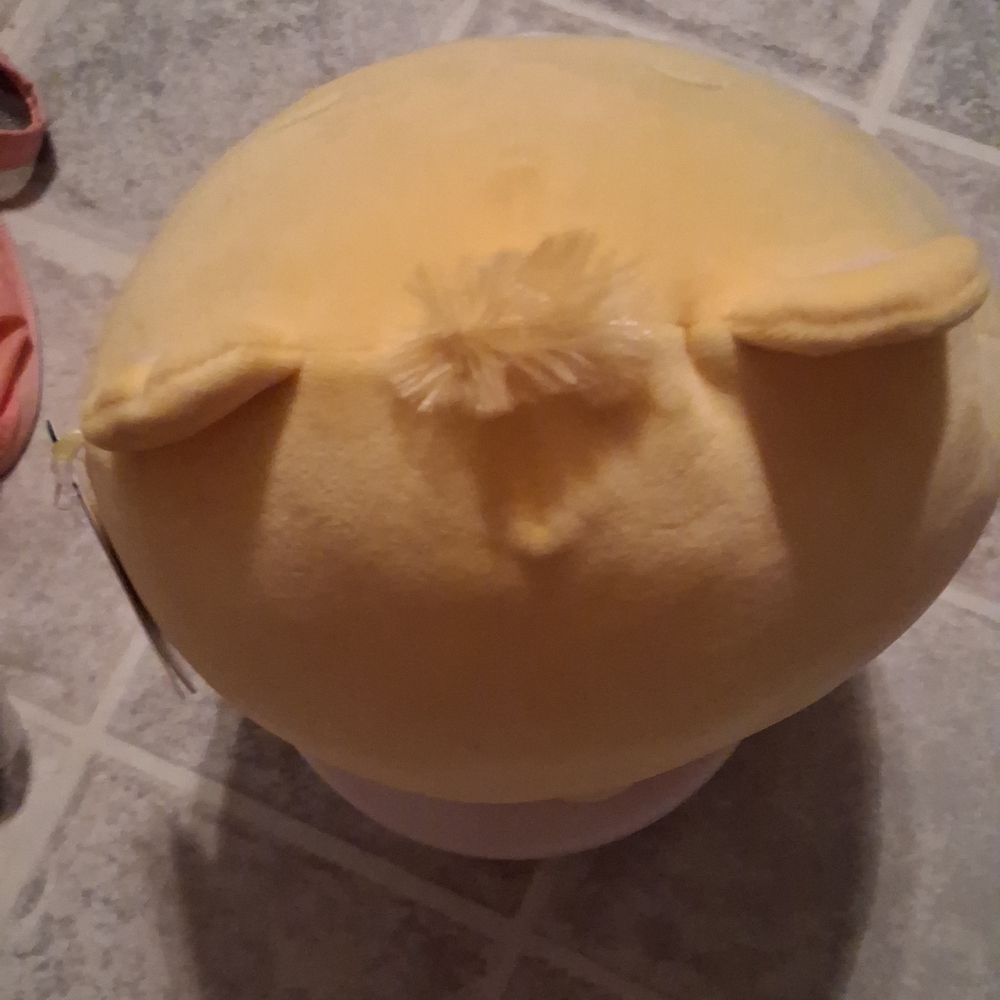 Care Bears Funshine Bear Squishmallow - Picture 6 of 10